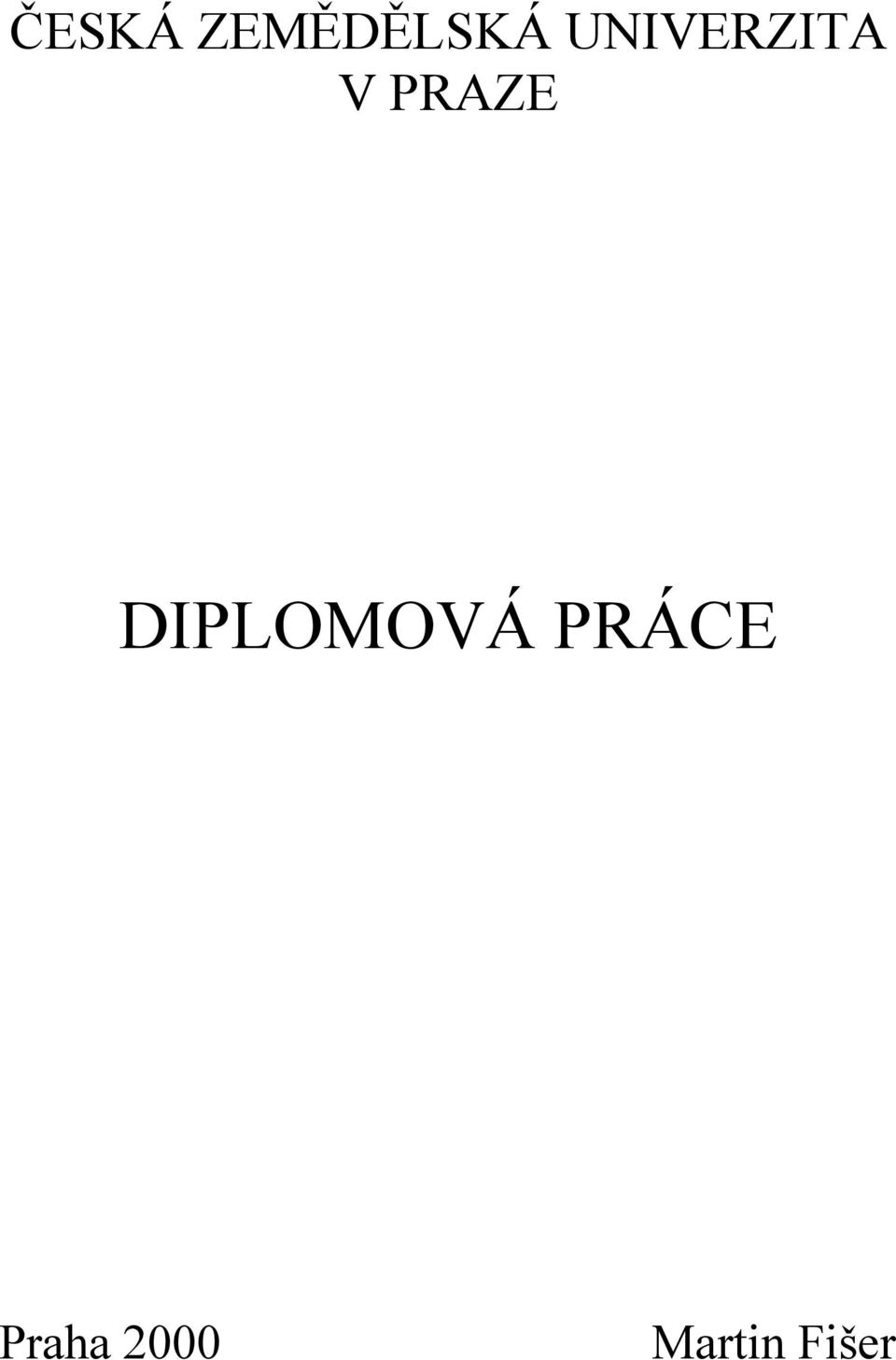 DIPLOMOVÁ PRÁCE