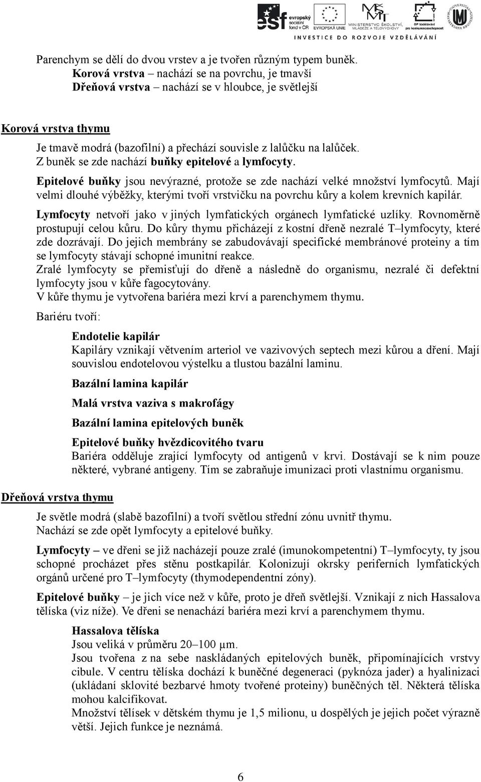 Z buněk se zde nachází buňky epitelové a lymfocyty. Epitelové buňky jsou nevýrazné, protože se zde nachází velké množství lymfocytů.