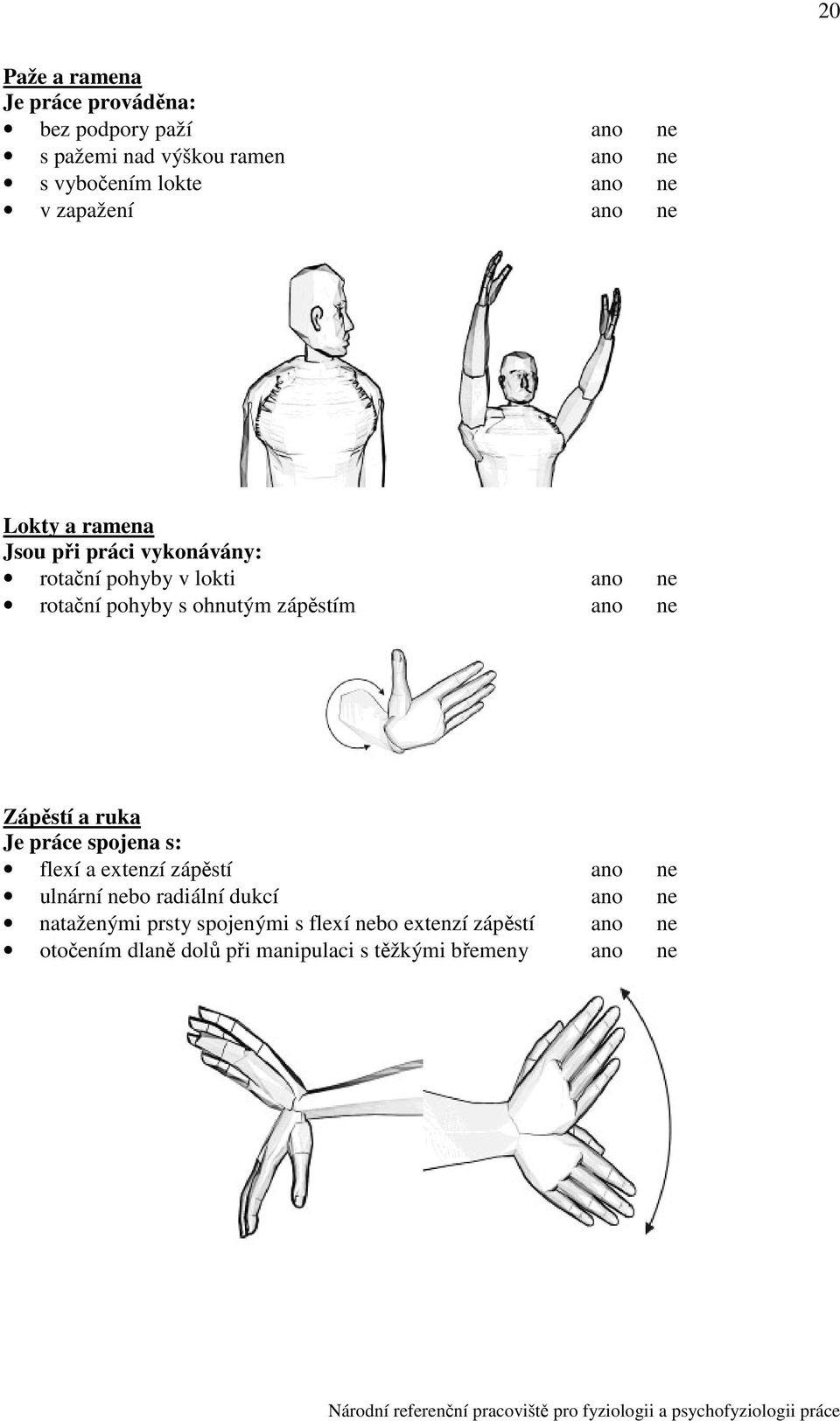 zápěstím Zápěstí a ruka Je práce spojena s: flexí a extenzí zápěstí ulnární bo radiální dukcí