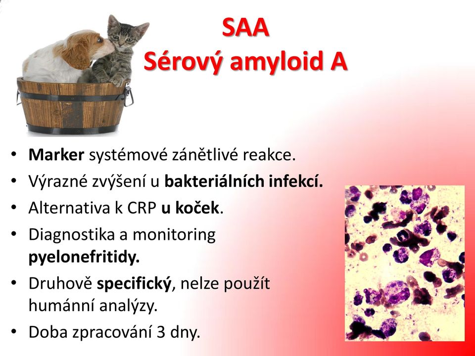 Alternativa k CRP u koček.