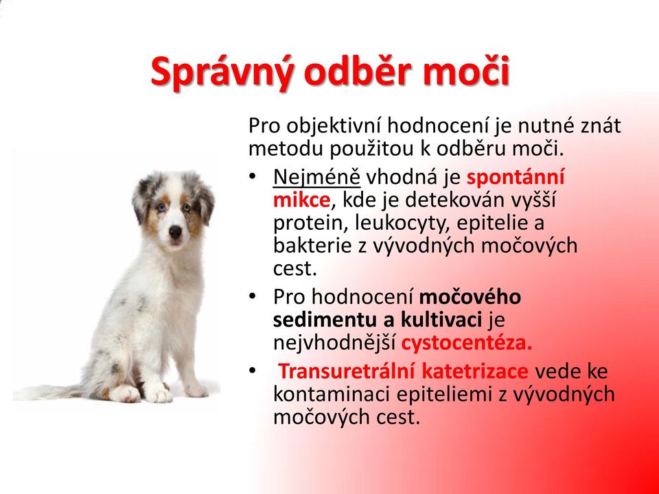 bakterie z vývodných močových cest.