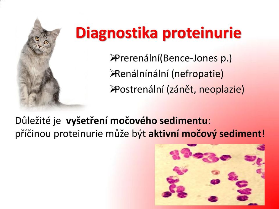 neoplazie) Důležité je vyšetření močového