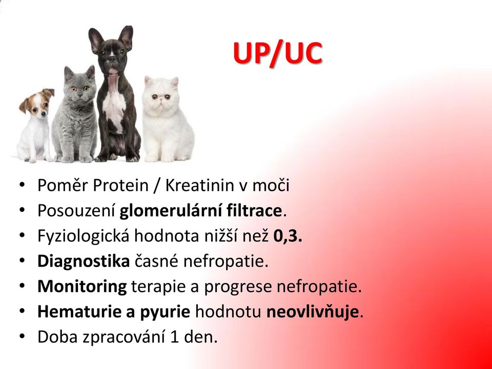 Diagnostika časné nefropatie.