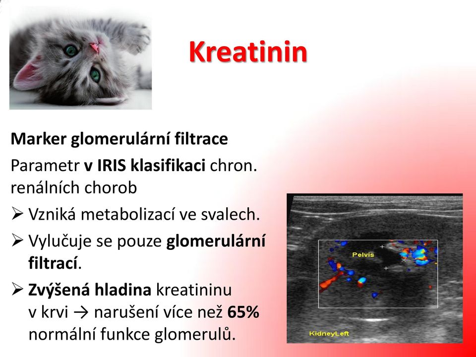 renálních chorob Vzniká metabolizací ve svalech.