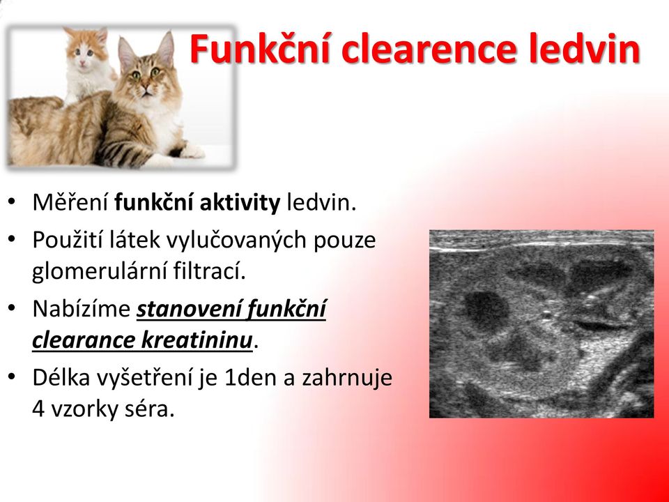 Použití látek vylučovaných pouze glomerulární