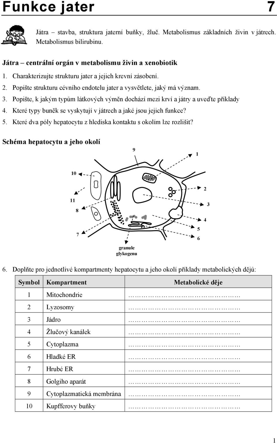 Popište, k jakým typům látkových výměn dochází mezi krví a játry a uveďte příklady 4. Které typy buněk se vyskytují v játrech a jaké jsou jejich funkce? 5.