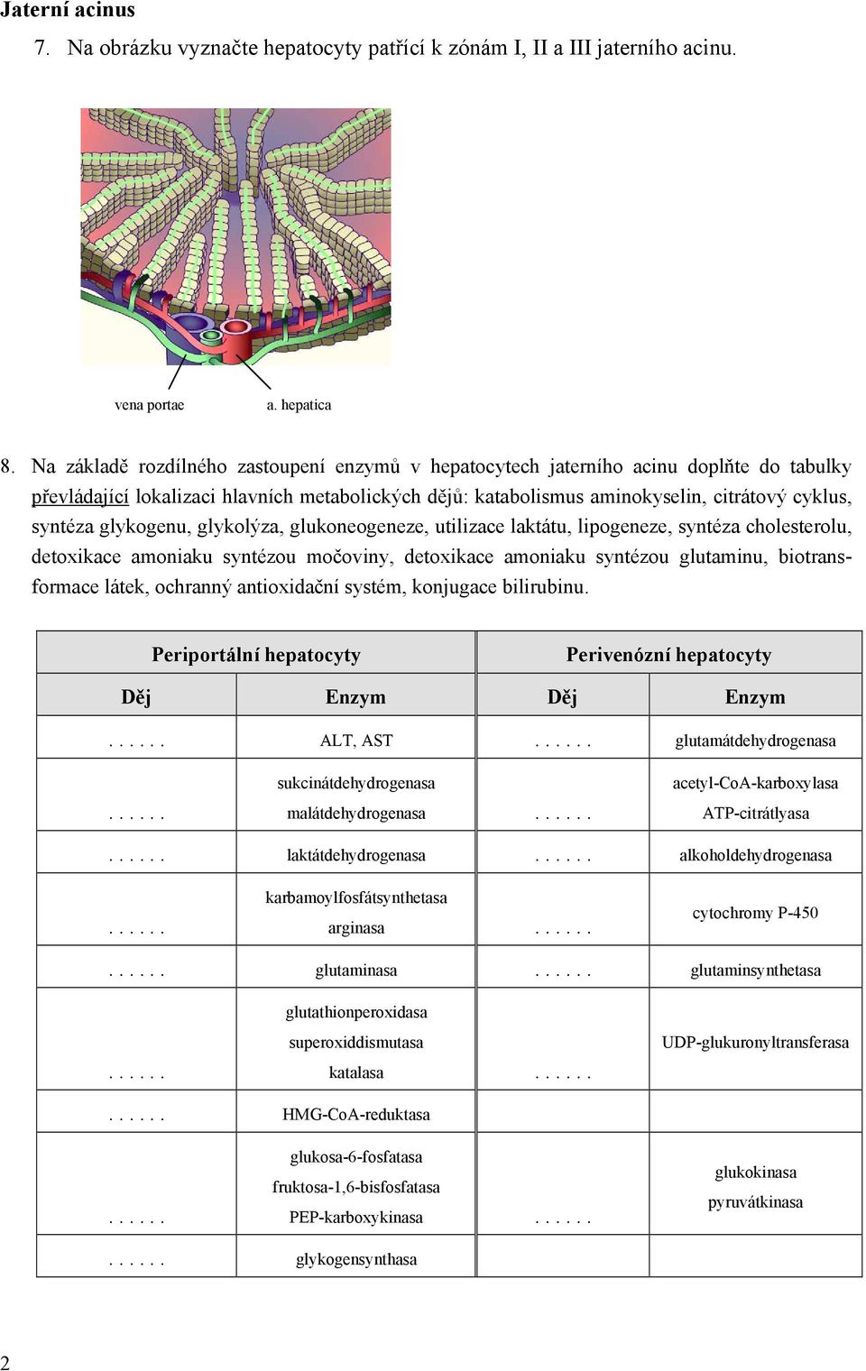 glykogenu, glykolýza, glukoneogeneze, utilizace laktátu, lipogeneze, syntéza cholesterolu, detoxikace amoniaku syntézou močoviny, detoxikace amoniaku syntézou glutaminu, biotransformace látek,