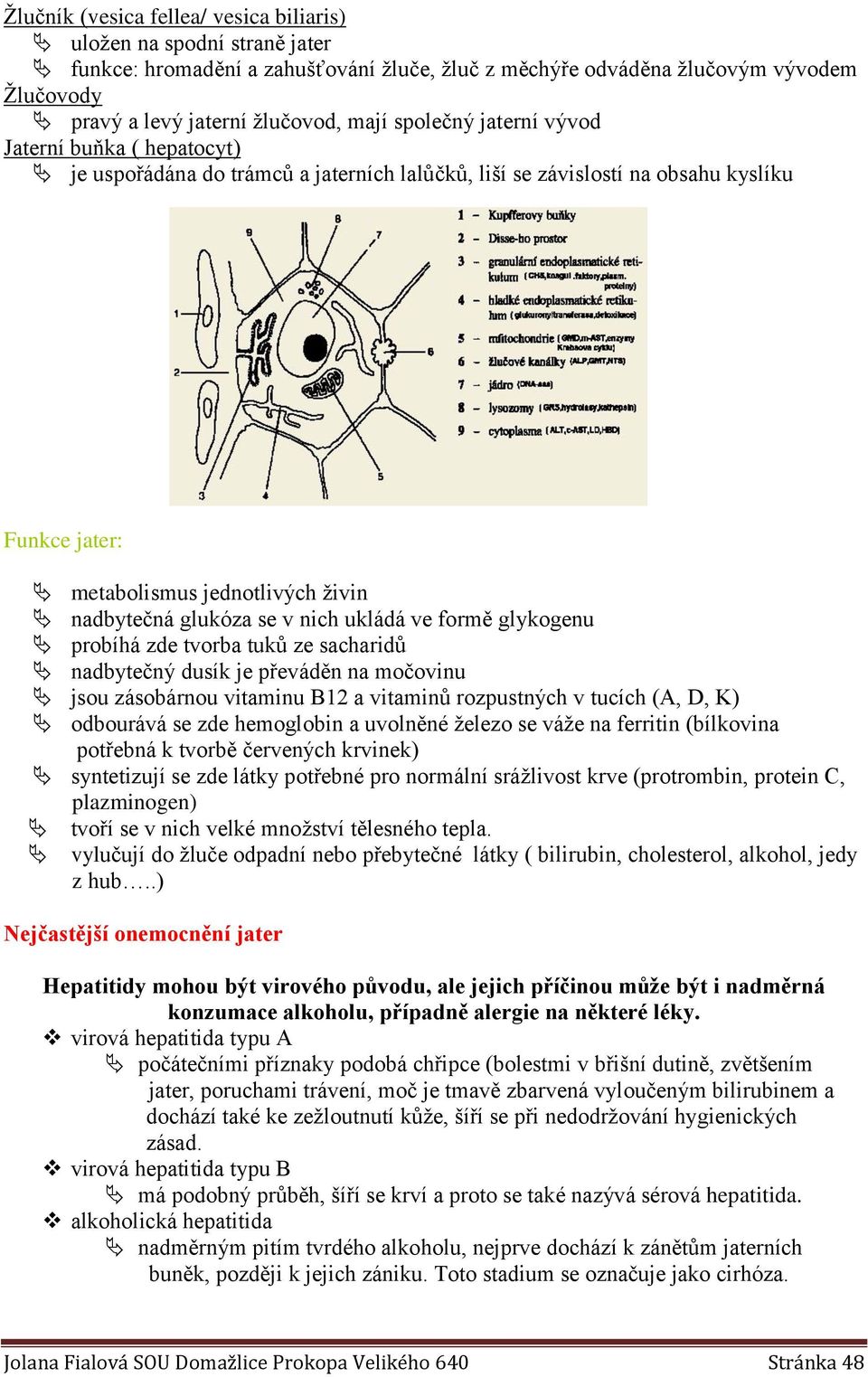 v nich ukládá ve formě glykogenu probíhá zde tvorba tuků ze sacharidů nadbytečný dusík je převáděn na močovinu jsou zásobárnou vitaminu B12 a vitaminů rozpustných v tucích (A, D, K) odbourává se zde