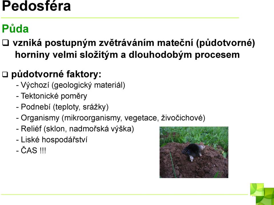 materiál) - Tektonické poměry - Podnebí (teploty, srážky) - Organismy