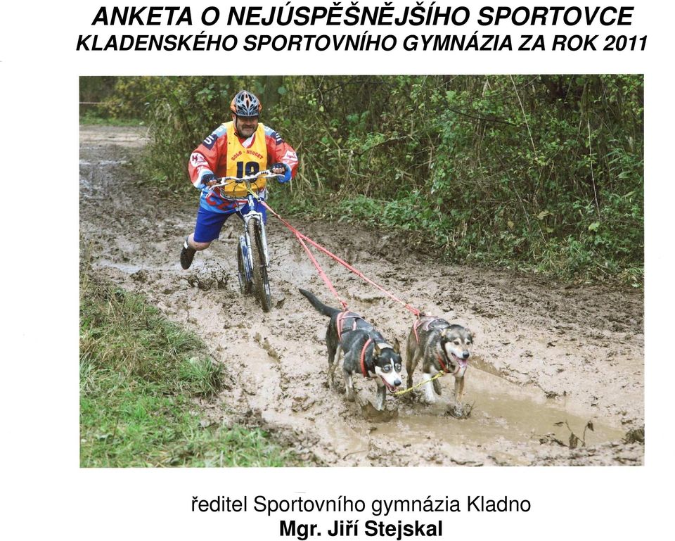 GYMNÁZIA ZA ROK 2011 ředitel