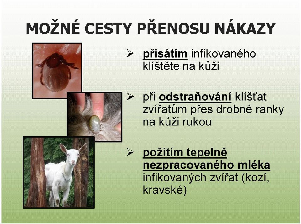 přes drobné ranky na kůži rukou požitím tepelně