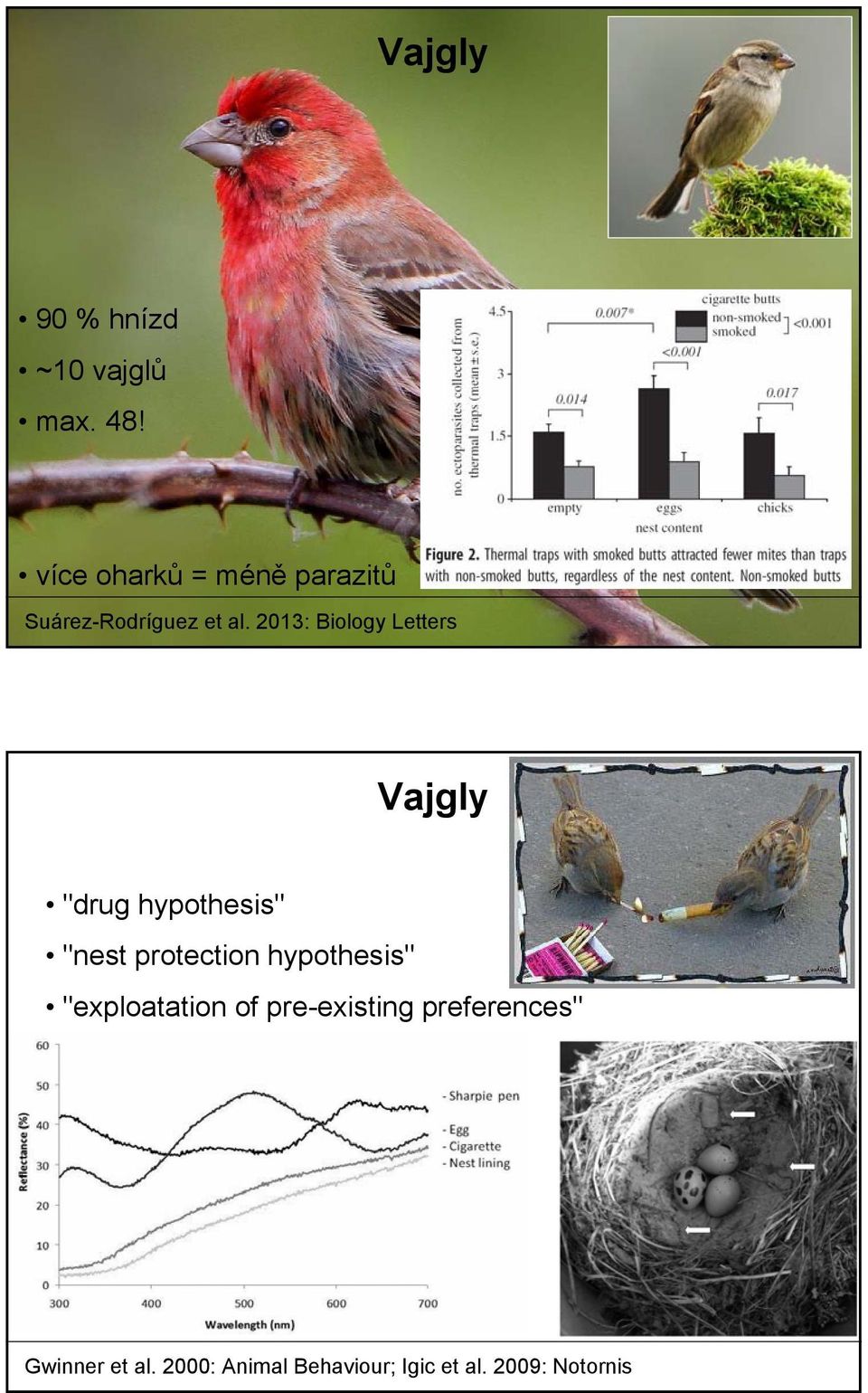 2013: Biology Letters Vajgly "drug hypothesis" "nest protection