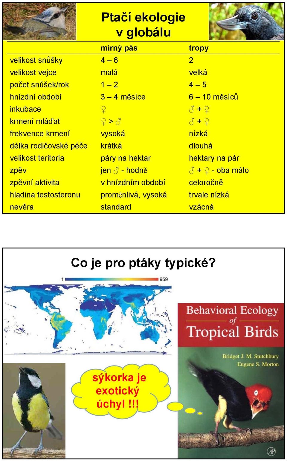 velikost teritoria páry na hektar hektary na pár zpěv jen - hodně + - oba málo zpěvní aktivita v hnízdním období celoročně