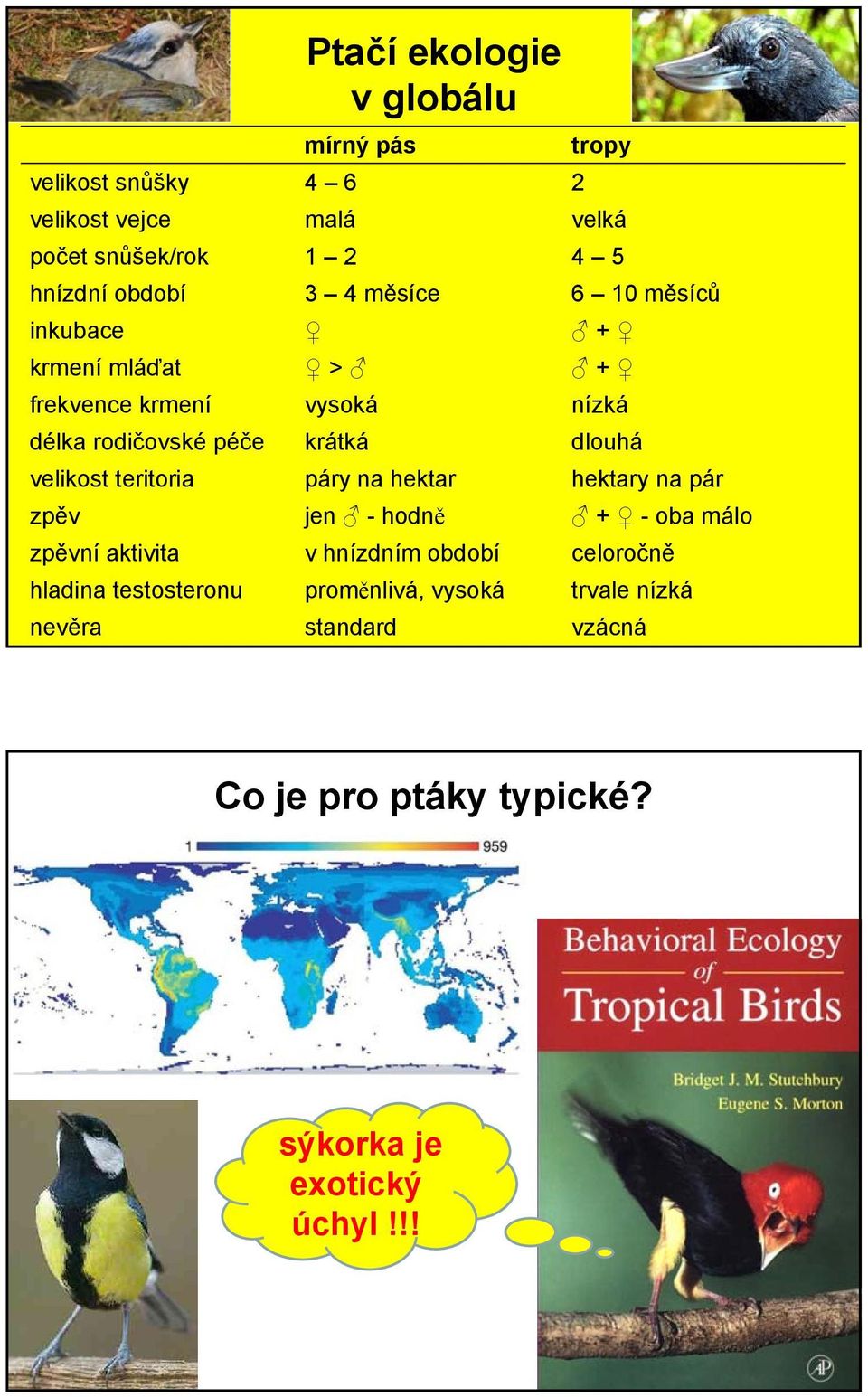 velikost teritoria páry na hektar hektary na pár zpěv jen - hodně + - oba málo zpěvní aktivita v hnízdním období celoročně