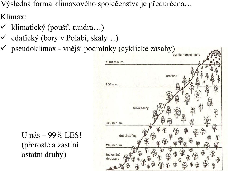 Polabí, skály ) pseudoklimax - vnější podmínky