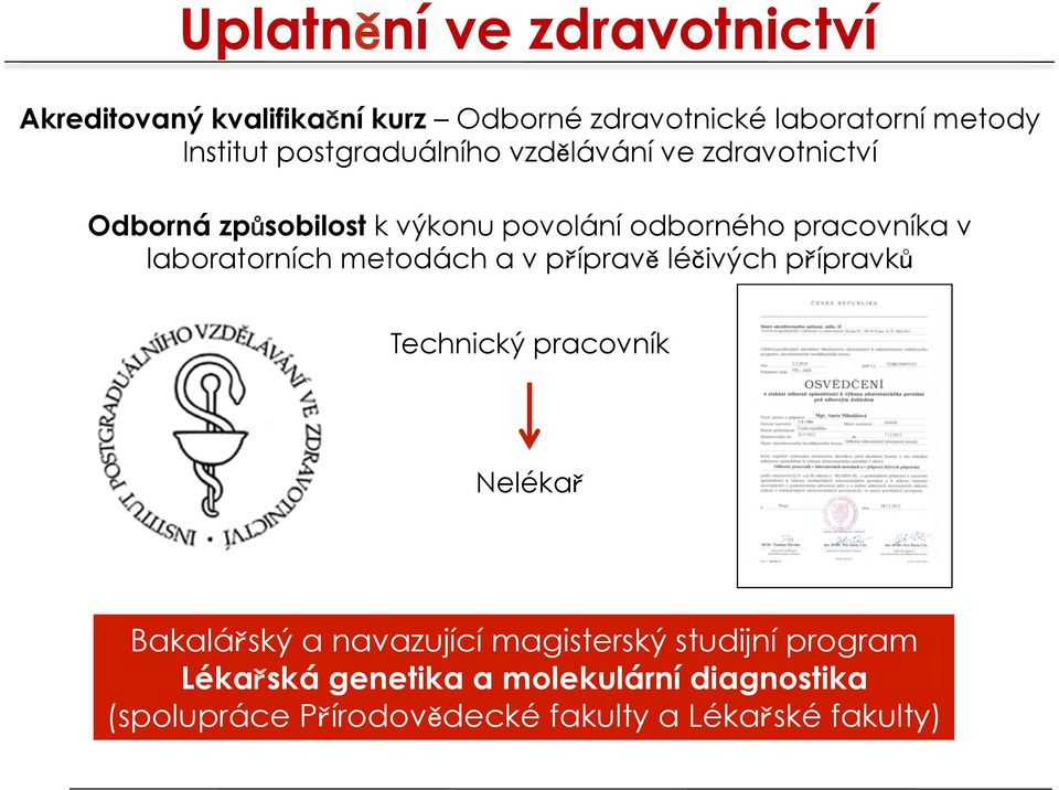 laboratorních metodách a v přípravě léčivých přípravků Technický pracovník Nelékař Bakalářský a navazující