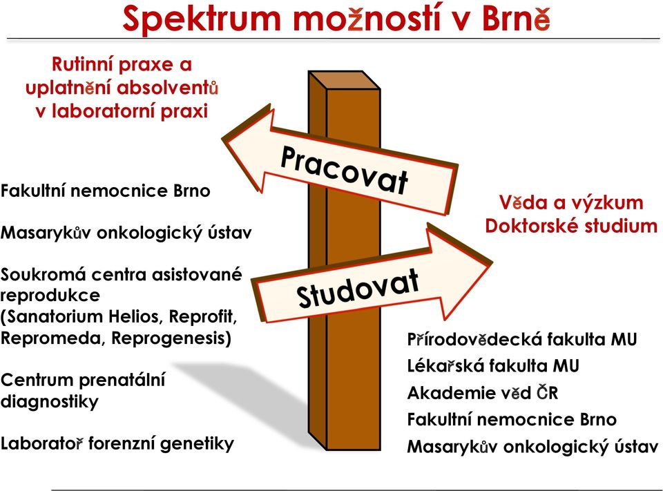 Reprogenesis) Centrum prenatální diagnostiky Laboratoř forenzní genetiky Přírodovědecká fakulta MU Lékařská