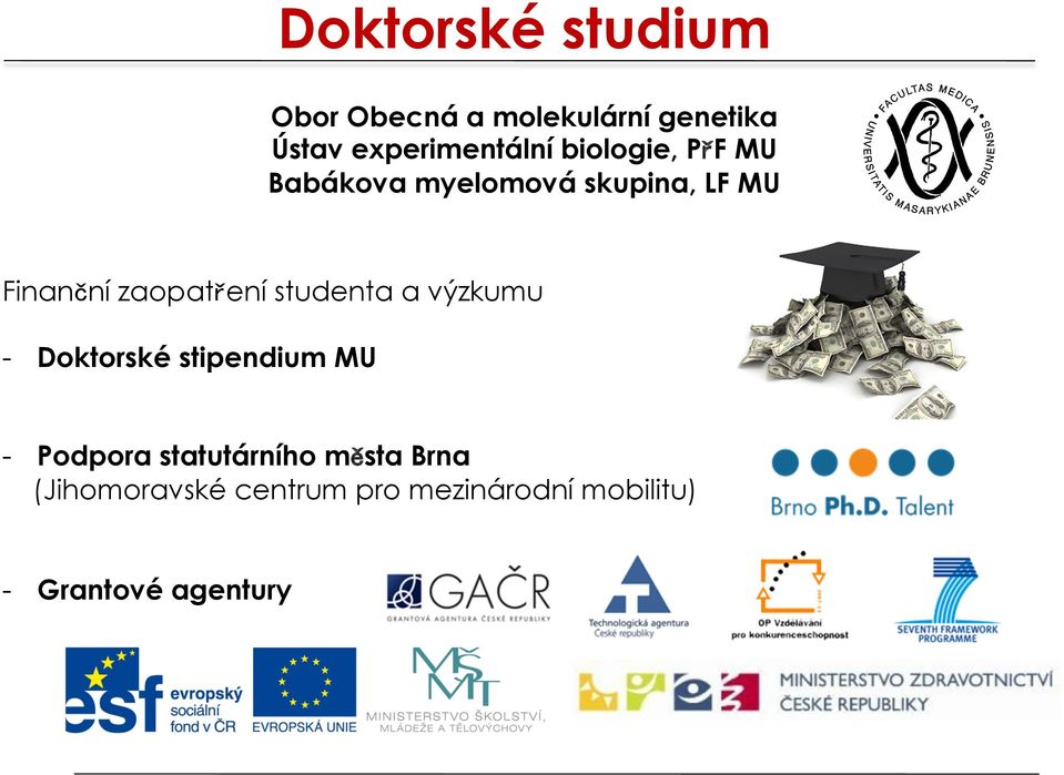 Finanční zaopatření studenta a výzkumu - Doktorské stipendium MU -