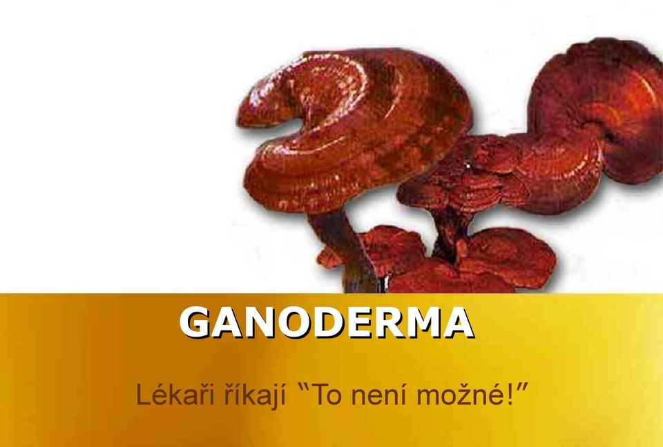 říkají To