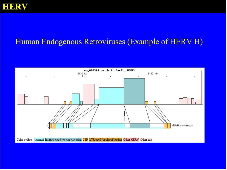 Retroviruses