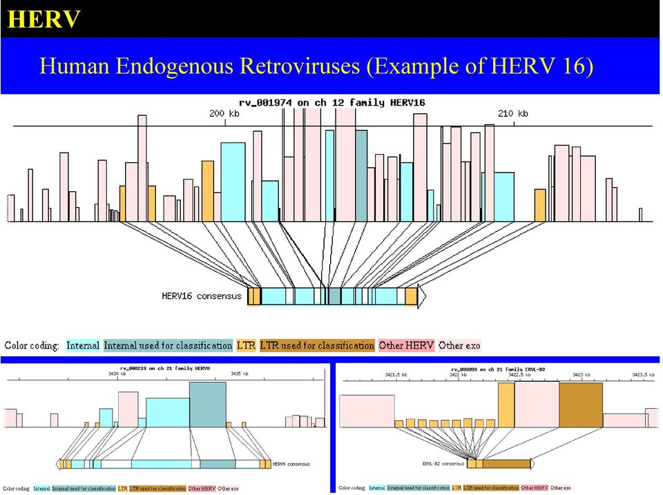 Retroviruses