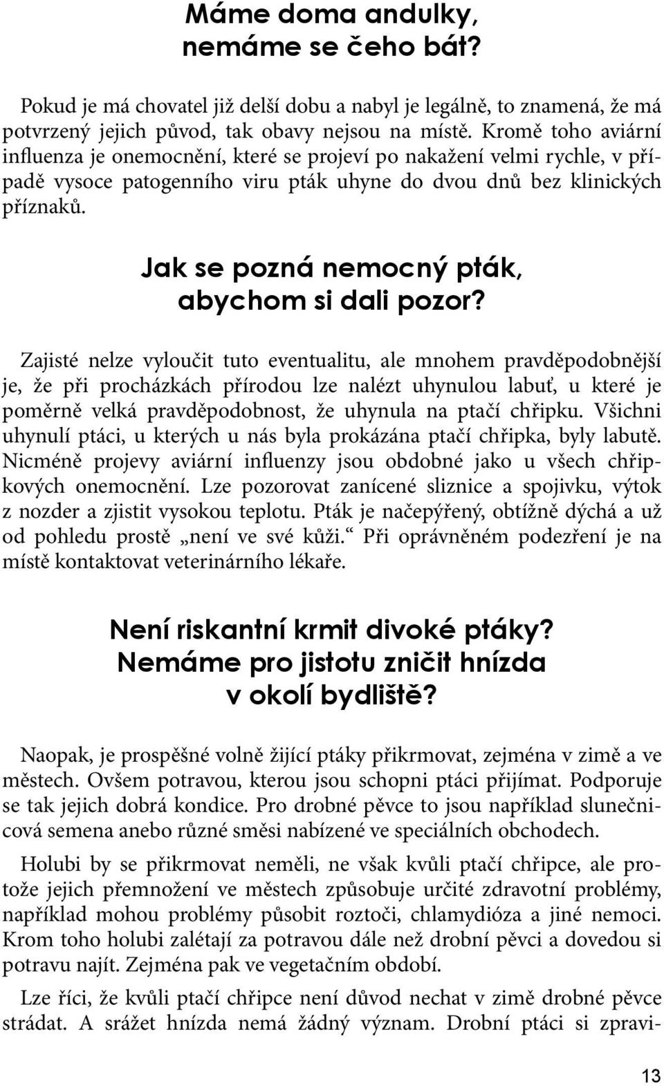 Jak se pozná nemocný pták, abychom si dali pozor?