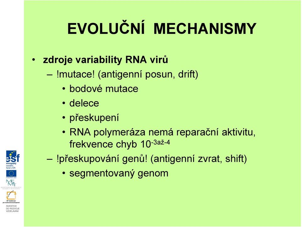 RNA polymeráza nemá reparační aktivitu, frekvence chyb