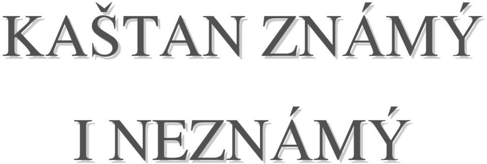 NEZNÁMÝ