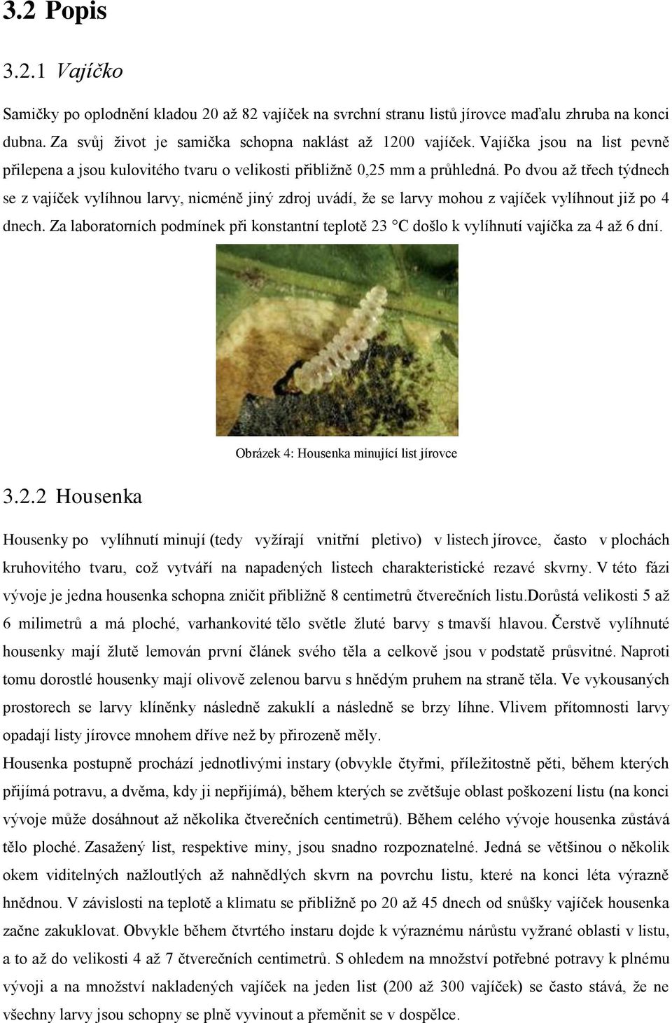 Po dvou až třech týdnech se z vajíček vylíhnou larvy, nicméně jiný zdroj uvádí, že se larvy mohou z vajíček vylíhnout již po 4 dnech.