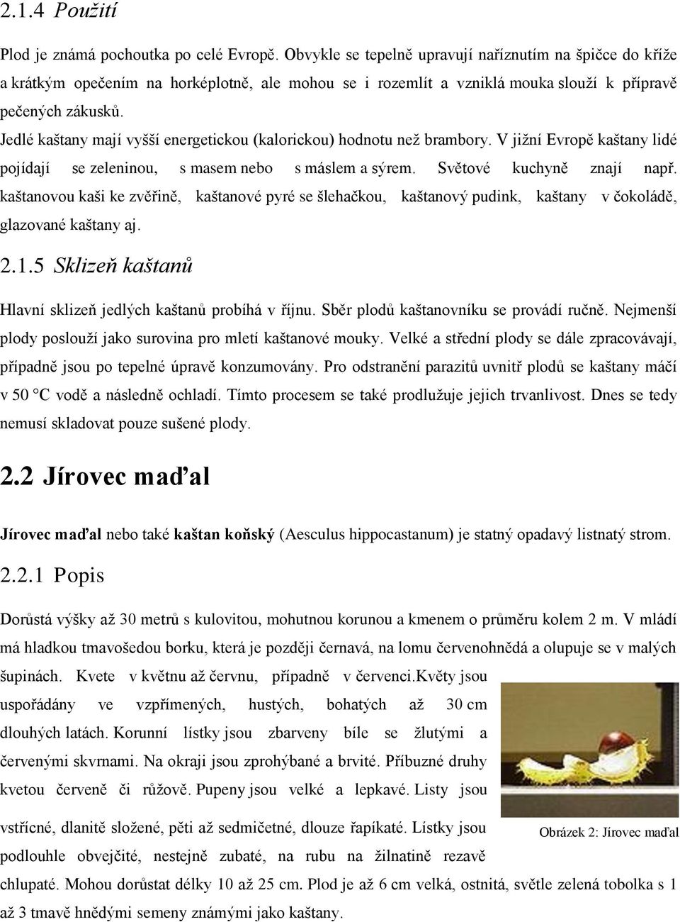 Jedlé kaštany mají vyšší energetickou (kalorickou) hodnotu než brambory. V jižní Evropě kaštany lidé pojídají se zeleninou, s masem nebo s máslem a sýrem. Světové kuchyně znají např.