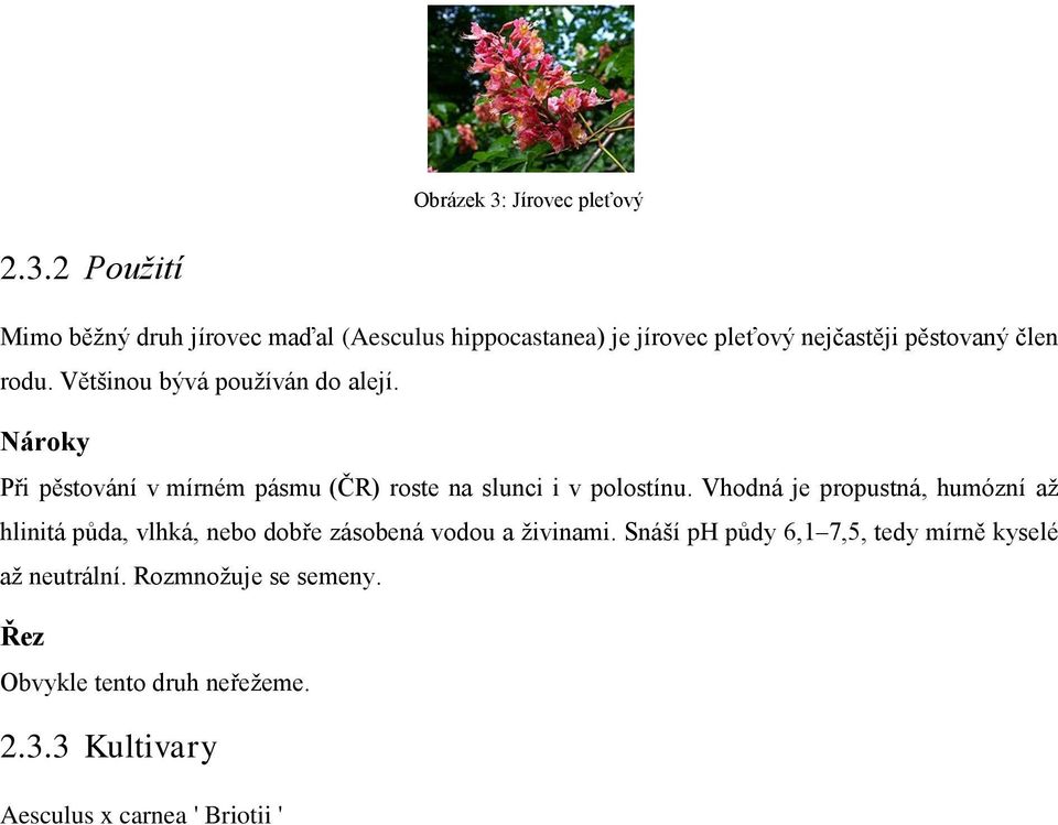 Vhodná je propustná, humózní až hlinitá půda, vlhká, nebo dobře zásobená vodou a živinami.