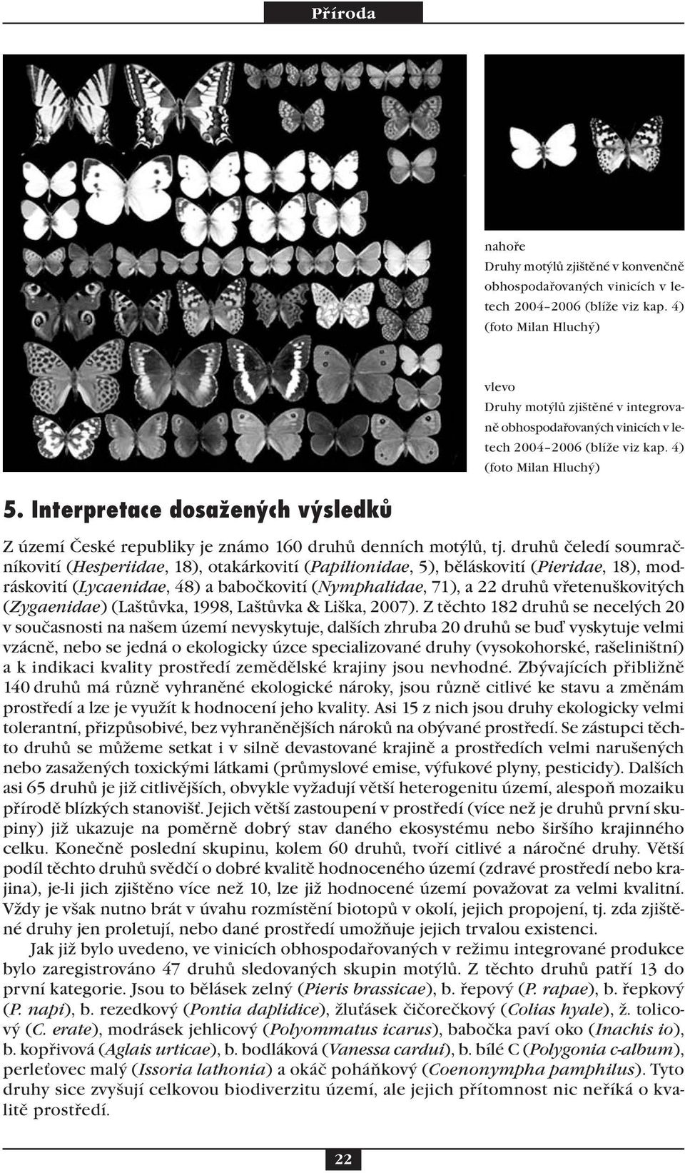 Interpretace dosažených výsledků Z území České republiky je známo 160 druhů denních motýlů, tj.
