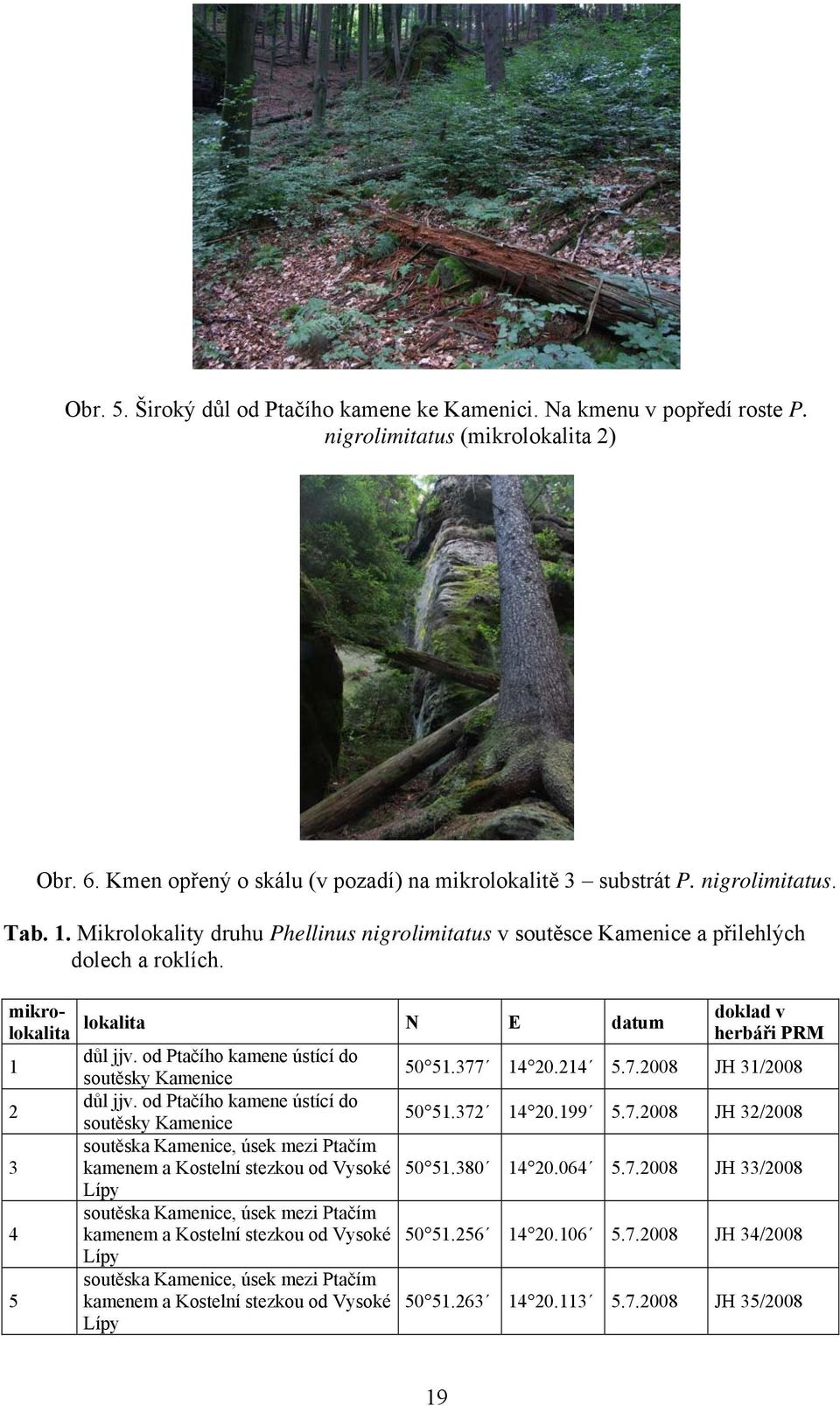 377 14 20.214 5.7.2008 JH 31/2008 2 důl jjv. od Ptačího kamene ústící do soutěsky Kamenice 50 51.372 14 20.199 5.7.2008 JH 32/2008 soutěska Kamenice, úsek mezi Ptačím 3 kamenem a Kostelní stezkou od Vysoké 50 51.