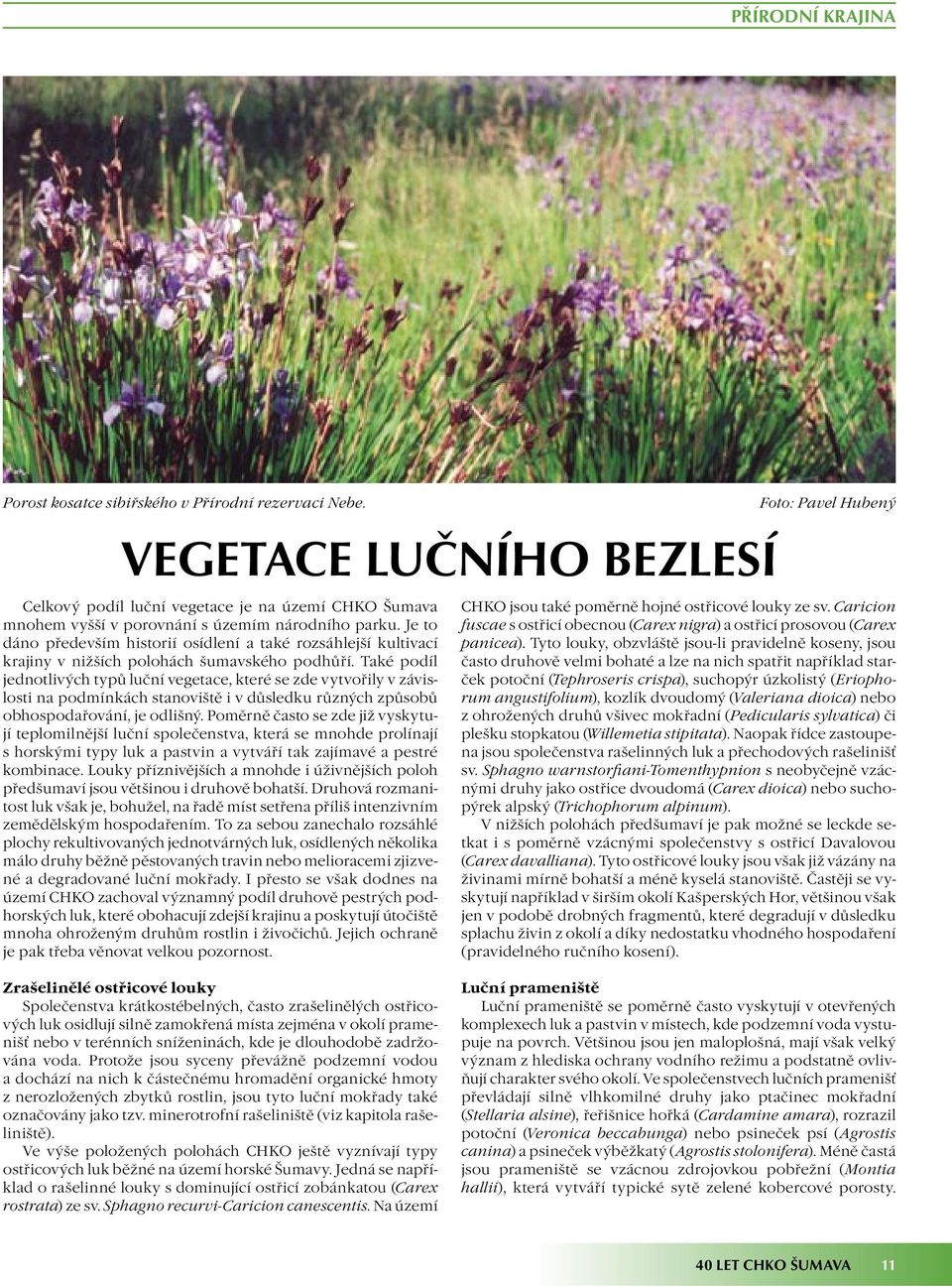 Také podíl jednotlivých typů luční vegetace, které se zde vytvořily v závislosti na podmínkách stanoviště i v důsledku různých způsobů obhospodařování, je odlišný.