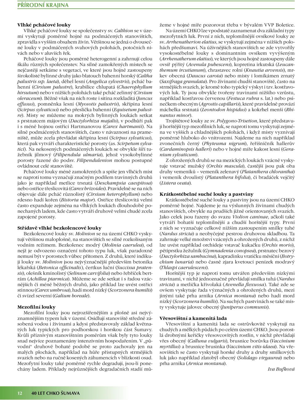 Na silně zamokřených místech se nejčastěji setkáme s vegetací, ve které jsou hojně zastoupeny širokolisté bylinné druhy jako blatouch bahenní horský (Caltha palustris ssp.