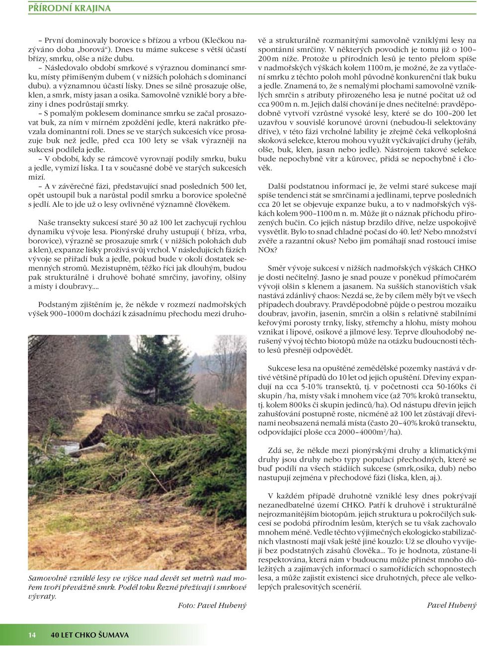 Dnes se silně prosazuje olše, klen, a smrk, místy jasan a osika. Samovolně vzniklé bory a březiny i dnes podrůstají smrky.