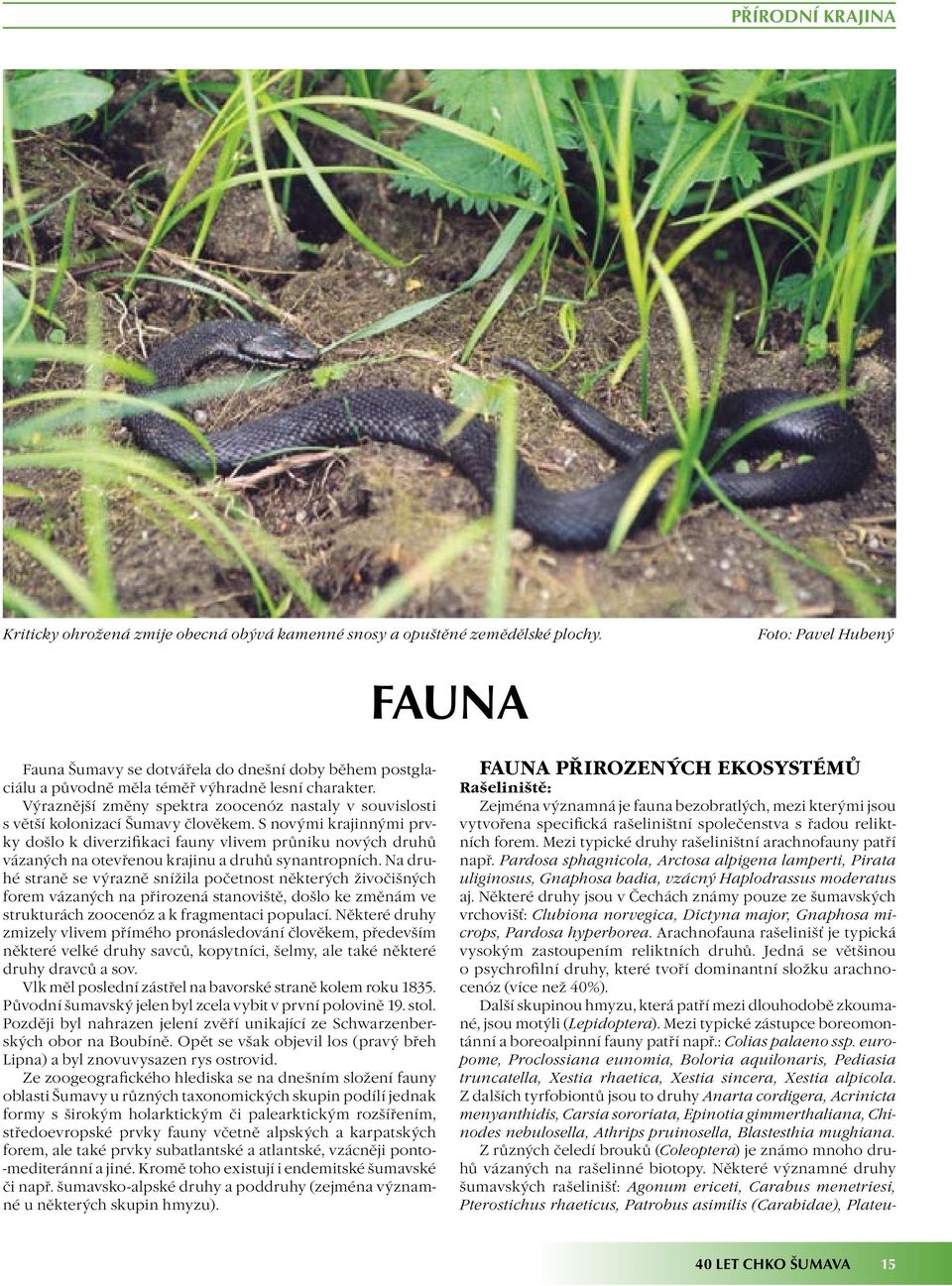 Výraznější změny spektra zoocenóz nastaly v souvislosti s větší kolonizací Šumavy člověkem.