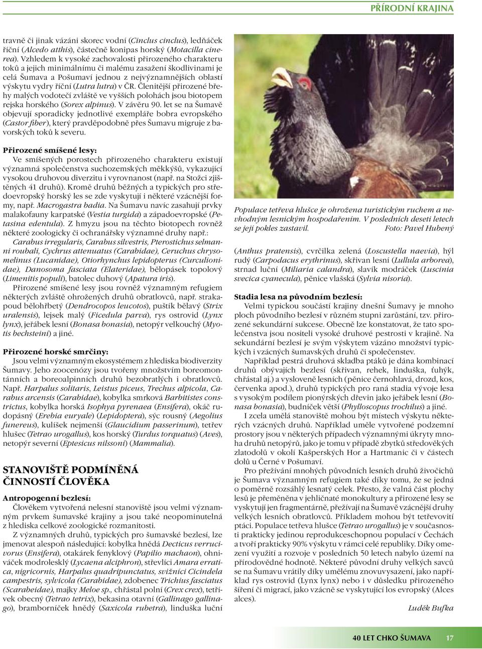 lutra) v ČR. Členitější přirozené břehy malých vodotečí zvláště ve vyšších polohách jsou biotopem rejska horského (Sorex alpinus). V závěru 90.