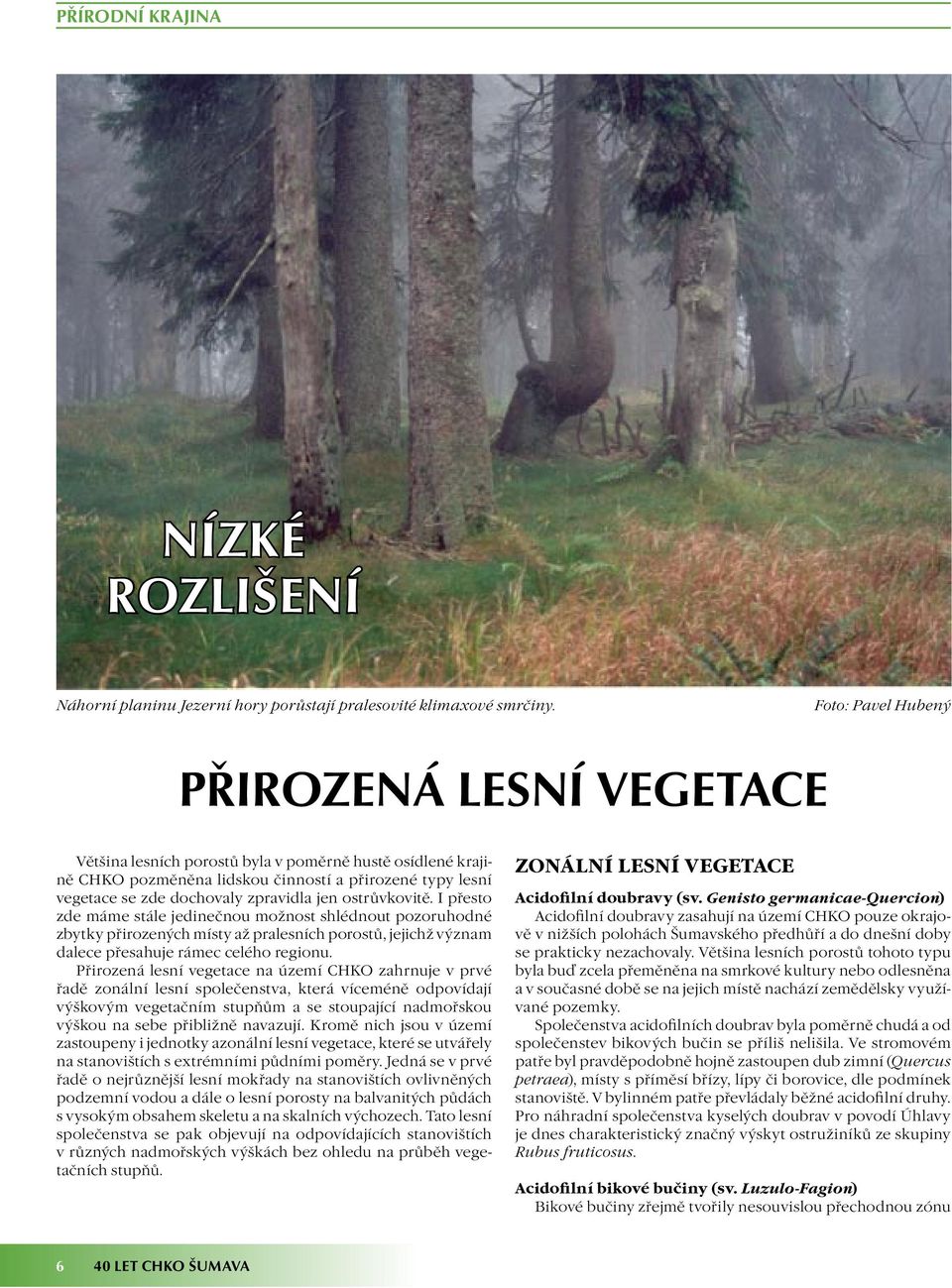 I přesto zde máme stále jedinečnou možnost shlédnout pozoruhodné zbytky přirozených místy až pralesních porostů, jejichž význam dalece přesahuje rámec celého regionu.