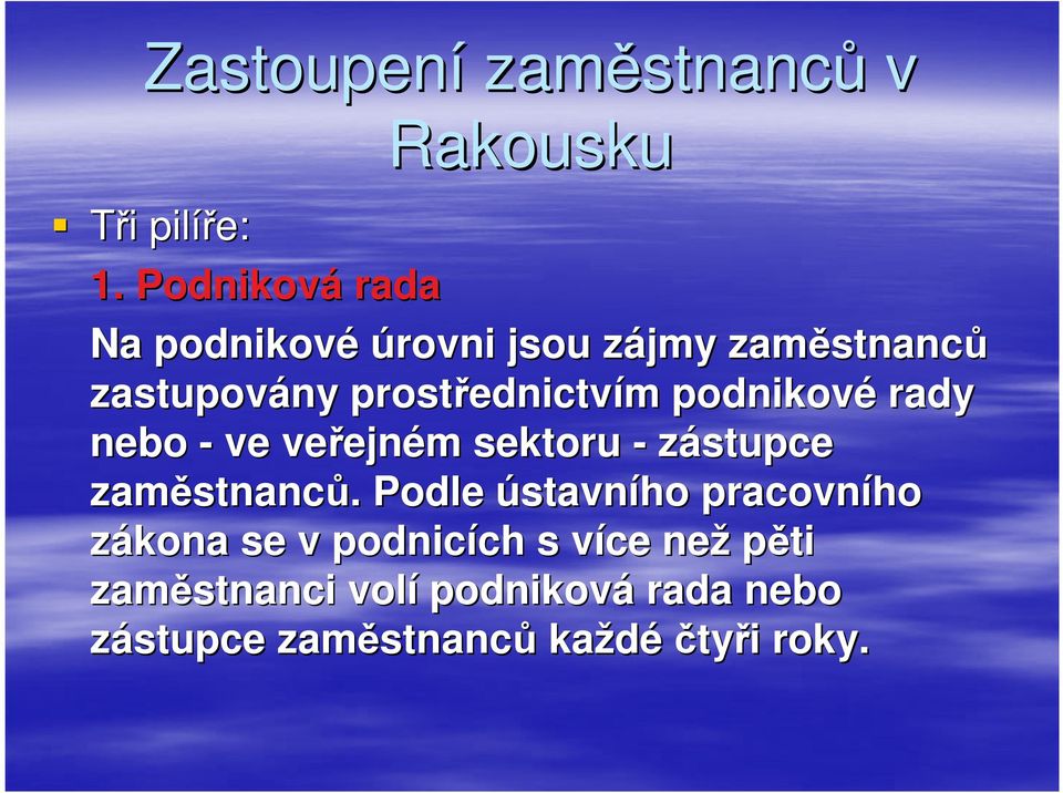 ednictvím m podnikové rady nebo - ve veřejn ejném m sektoru - zástupce zaměstnanc stnanců.