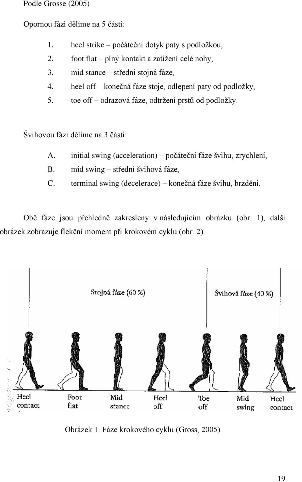 Švihovou fázi dělíme na 3 části: A. initial swing (acceleration) počáteční fáze švihu, zrychlení, B. mid swing střední švihová fáze, C.