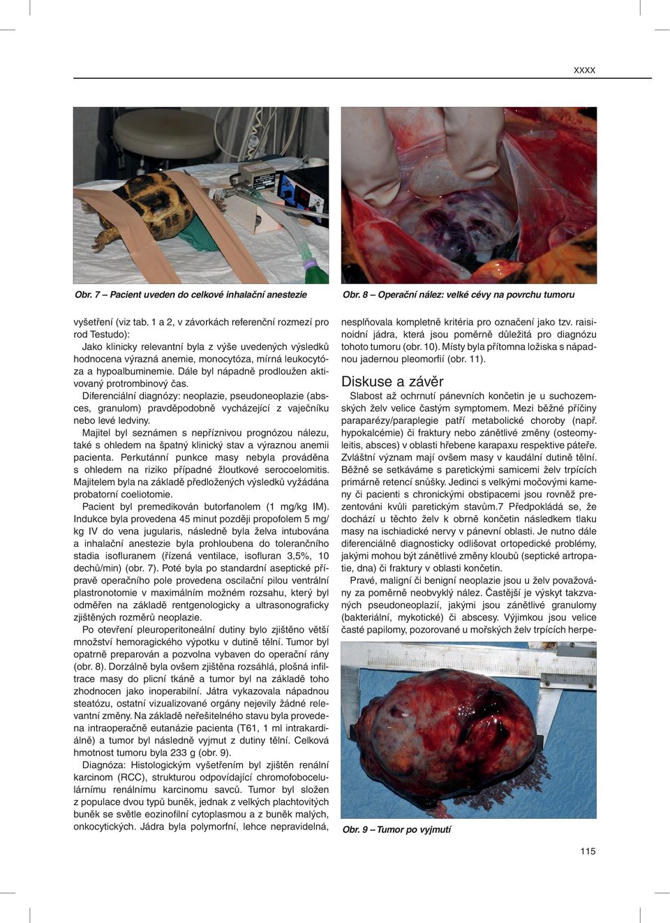 Dále byl nápadně prodloužen aktivovaný protrombinový čas. Diferenciální diagnózy: neoplazie, pseudoneoplazie (absces, granulom) pravděpodobně vycházející z vaječníku nebo levé ledviny.
