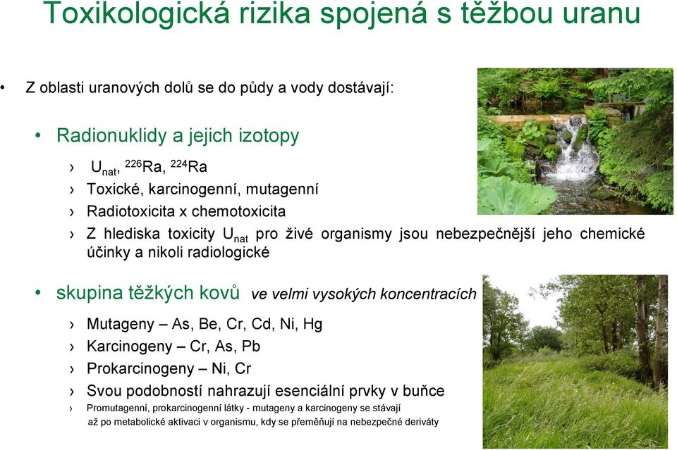 skupina těžkých kovů ve velmi vysokých koncentracích Mutageny As, Be, Cr, Cd, Ni, Hg Karcinogeny Cr, As, Pb Prokarcinogeny Ni, Cr Svou podobností nahrazují