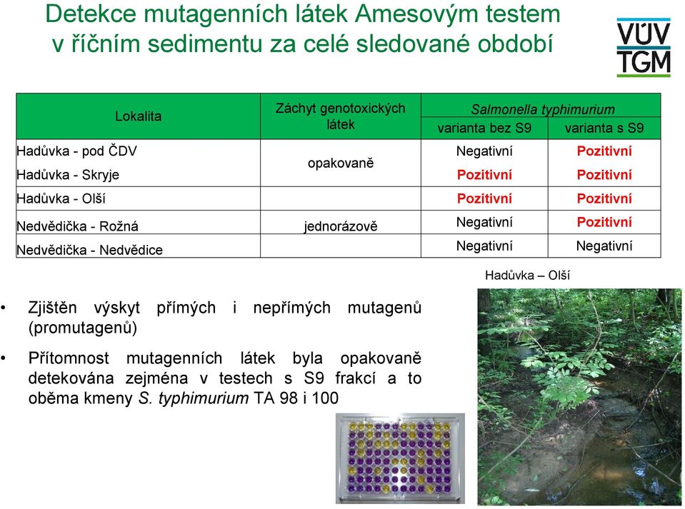 typhimurium TA 98 i 100 Salmonella typhimurium varianta bez S9 varianta s S9 Hadůvka - pod ČDV Negativní Pozitivní opakovaně Hadůvka - Skryje