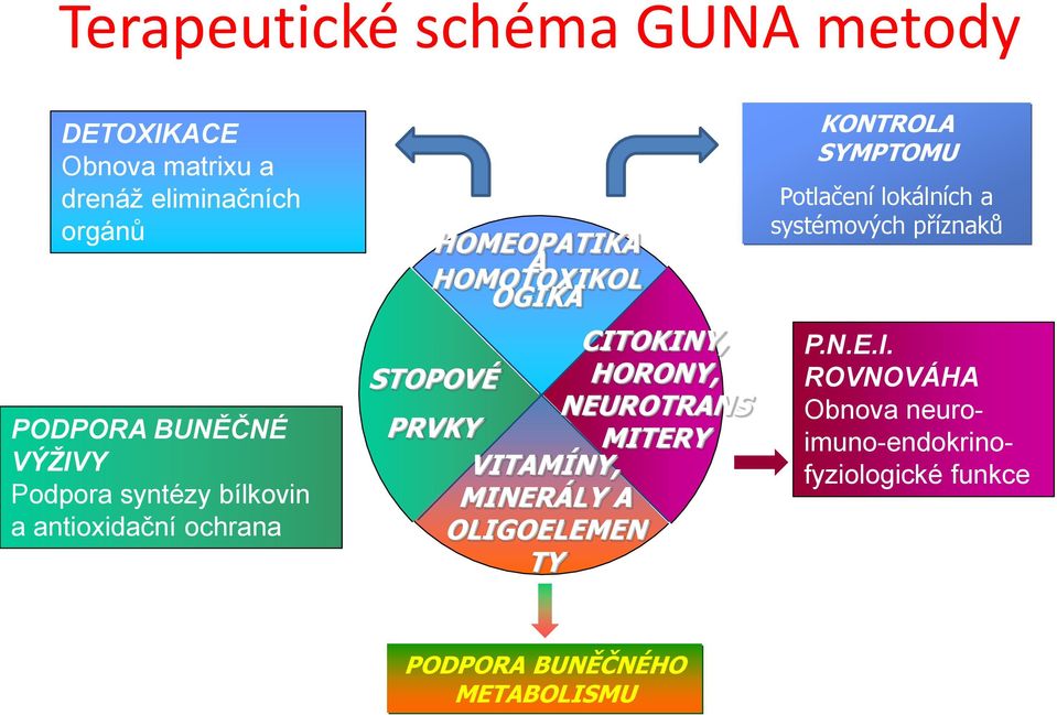 HORONY, NEUROTRANS PRVKY MITERY VITAMÍNY, MINERÁLY A OLIGOELEMEN TY KONTROLA SYMPTOMU Potlačení lokálních a