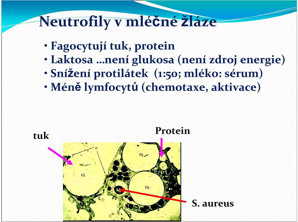 energie) Snížení protilátek (1:50; mléko: