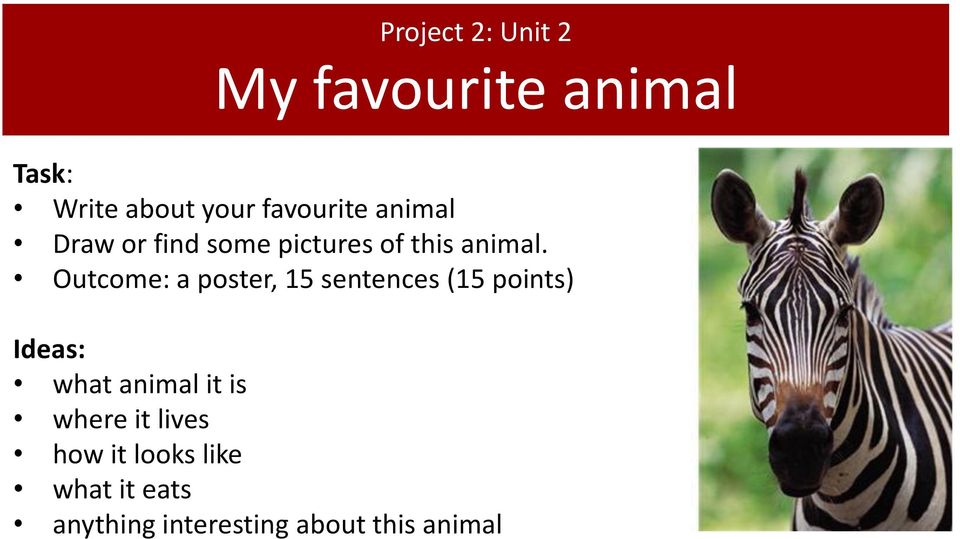 Outcome: a poster, 15 sentences (15 points) Ideas: what animal it is