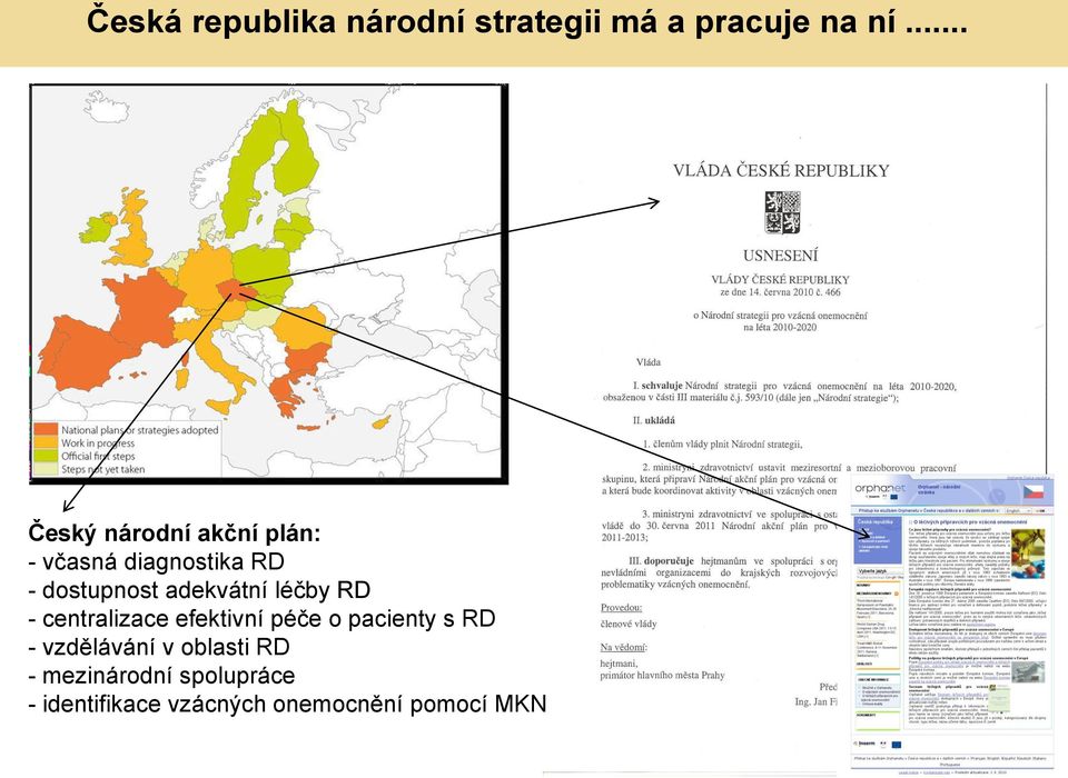 adekvátní léčby RD - centralizace efektivní péče o pacienty s RD -