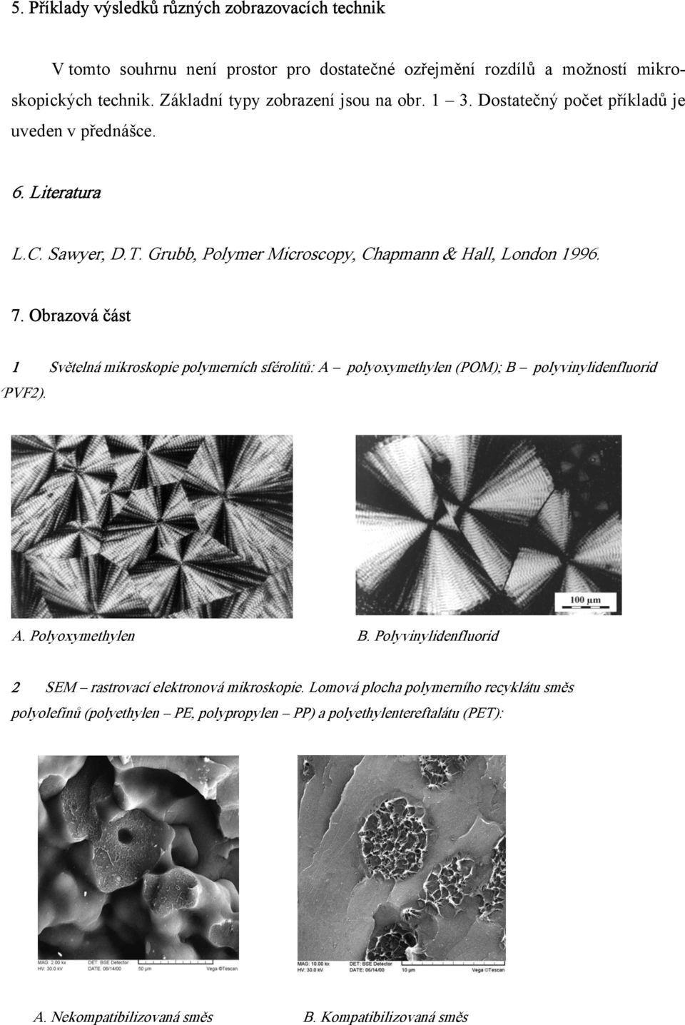 Grubb, Polymer Microscopy, Chapmann & Hall, London 1996. 7. Obrazová část 1 Světelná mikroskopie polymerních sférolitů: A polyoxymethylen (POM); B polyvinylidenfluorid (PVF2).