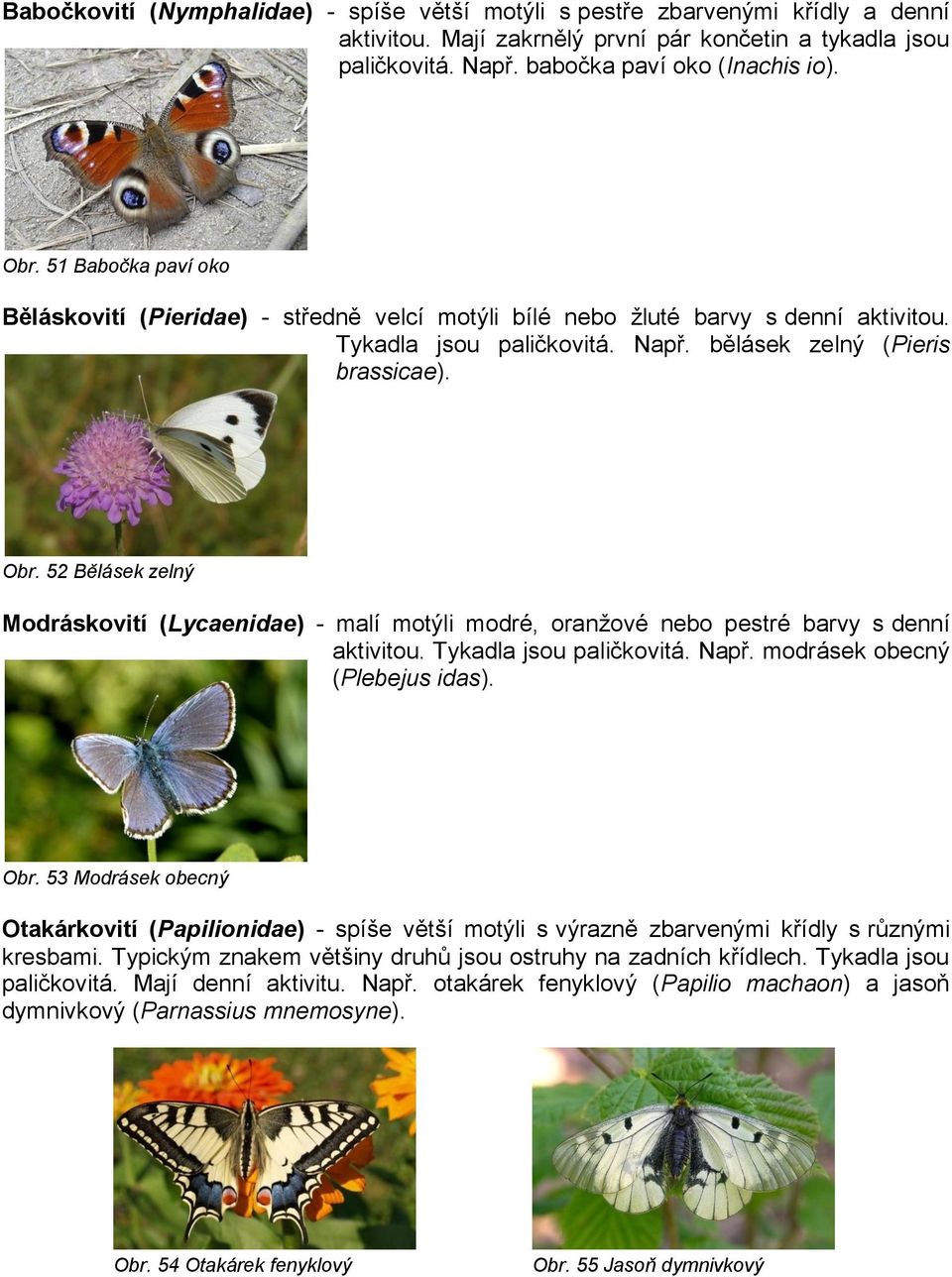 52 Bělásek zelný Modráskovití (Lycaenidae) - malí motýli modré, oranţové nebo pestré barvy s denní aktivitou. Tykadla jsou paličkovitá. Např. modrásek obecný (Plebejus idas). Obr.